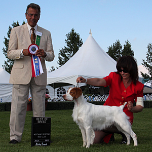 photo of Boo, Best of Breed at Group 1 Specialty