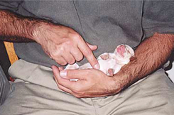 photo: week old puppy held by Gary
